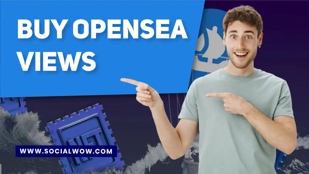 Video Guide for Purchasing OpenSea Views
