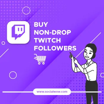 Buy Non Drop Twitch Followers
