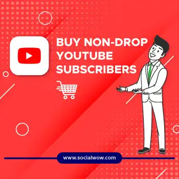 Buy Non Drop YouTube Subscribers